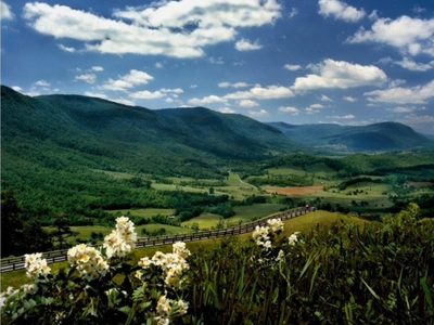 Bland County