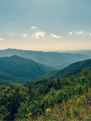 Buchanan County