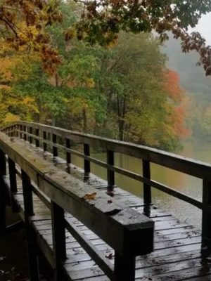 Smyth County